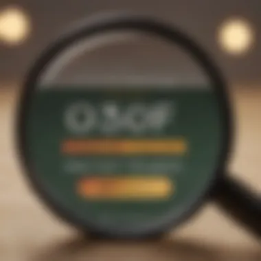 Digital magnifying glass highlighting credit score