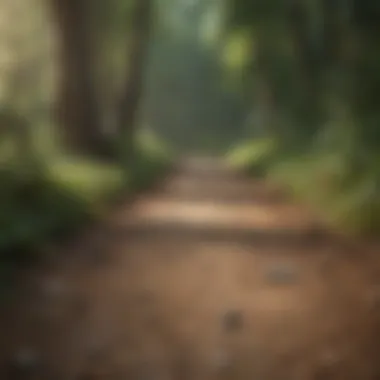 Path to Financial Independence Financial Freedom Roadmap
