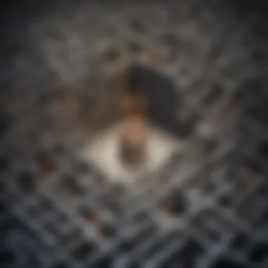 Navigating Age Requirements Intricate maze symbolizing navigating age requirements in house purchase