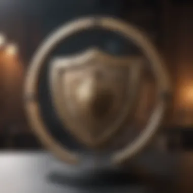 The Shield of Legal Protection Legal Protection Shield