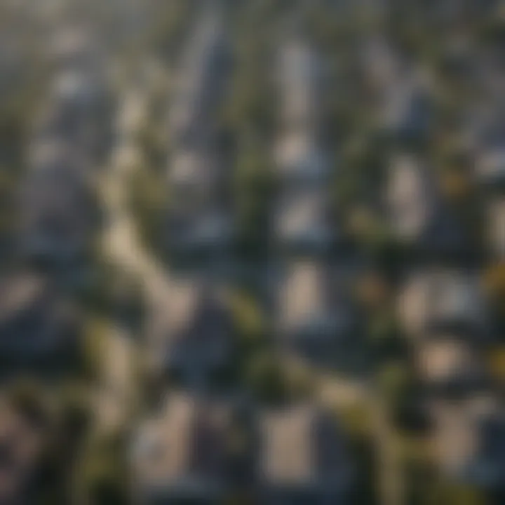 Aerial view of foreclosed homes in a suburban neighborhood