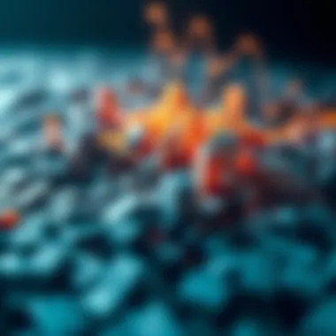 Wealth Distribution Dynamics An abstract representation of wealth distribution in a capitalist society